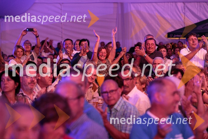 Festival Avsenik 2015Festival Avsenik 2015, sobota