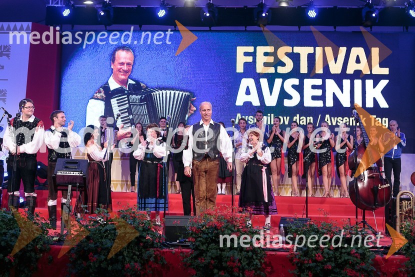  Gregor Avsenik, glasbenikFestival Avsenik 2015, sobota