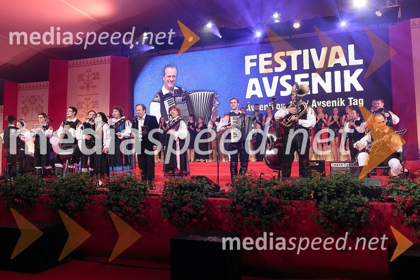  Jan Tamše, Ansambel Saša Avsenika;  Mitja Skočaj, Ansambel Slavka Avsenika;  Dejan Zupan, pevec, Ansambel Saša Avsenika;  Maja Berce Podrekar, Ansambel Saša Avsenika;  Joži Kališnik, pevka, Avsenikov tercet;  Alfi Nipič, pevec;  Jožica Svete, pevka;  Sašo Avsenik, glasbenik, Ansambel Saša Avsenika;  Aleš Jurman, Ansambel Saša Avsenika;  Matic Plevel, Ansambel Saša AvsenikaFestival Avsenik 2015, sobota