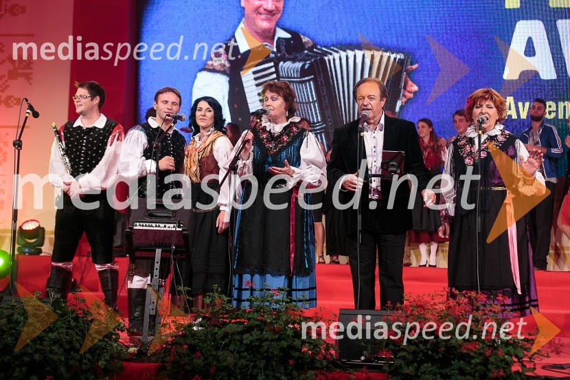  Mitja Skočaj, Ansambel Slavka Avsenika;  Dejan Zupan, pevec;  Maja Berce Podrekar, Ansambel Saša Avsenika;  Joži Kališnik, pevka, Avsenikov tercet;  Alfi Nipič, pevec;  Jožica Svete, pevkaFestival Avsenik 2015, sobota