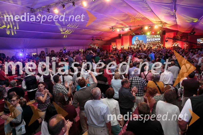 Festival Avsenik 2015Festival Avsenik 2015, sobota