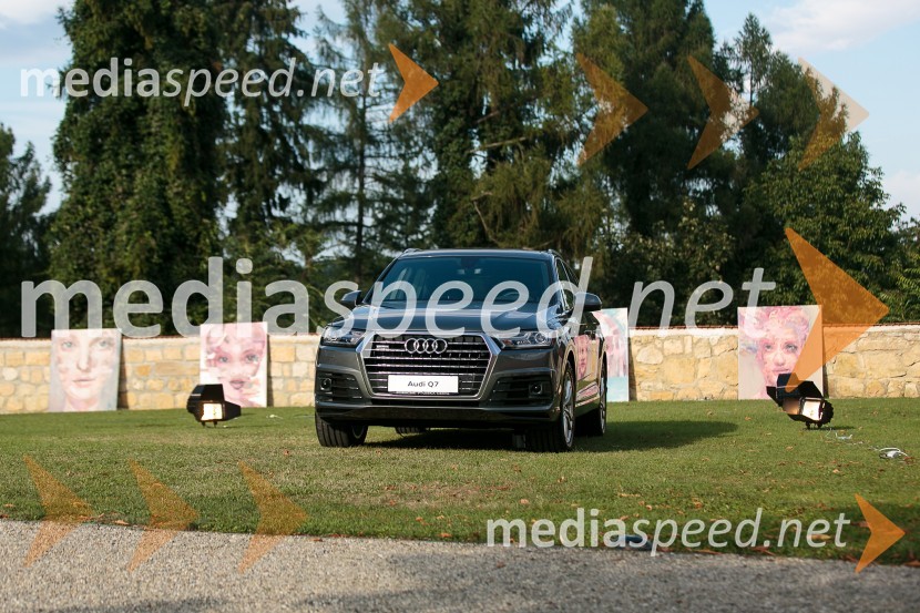 Audi Q7 2015, Porsche Ptujska cestaSalon Traminec 2015