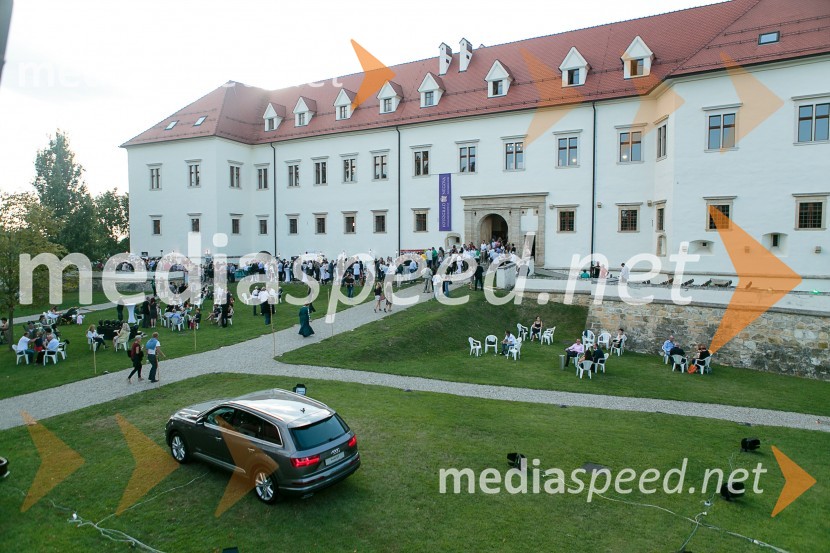 Salon Traminec 2015, Grad NegovaSalon Traminec 2015