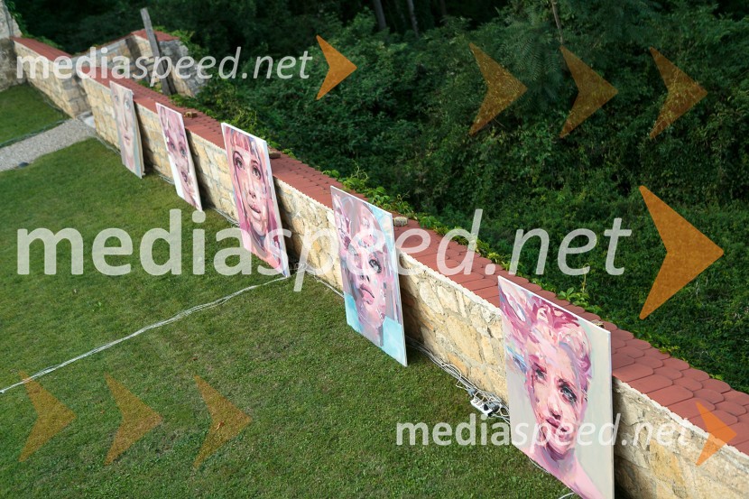 Razstava slik Tjaše ČušSalon Traminec 2015