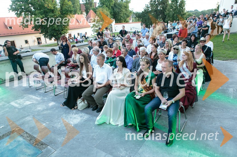 Salon Traminec 2015, otvoritevSalon Traminec 2015