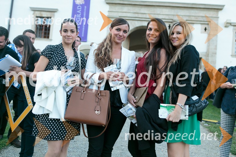  Katja Štandekar;  Maša Judar,  upravljalka storitev, Nova KBM d.d.;  Tadeja Truntič;  Katja LovšeSalon Traminec 2015