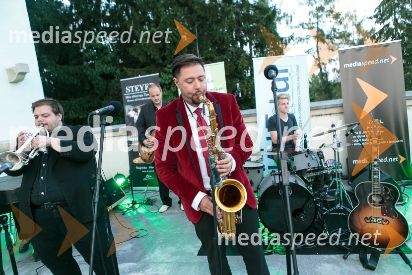  Gal Gjurin, glasbenikSalon Traminec 2015