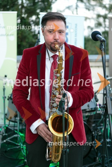  Gal Gjurin, glasbenikSalon Traminec 2015