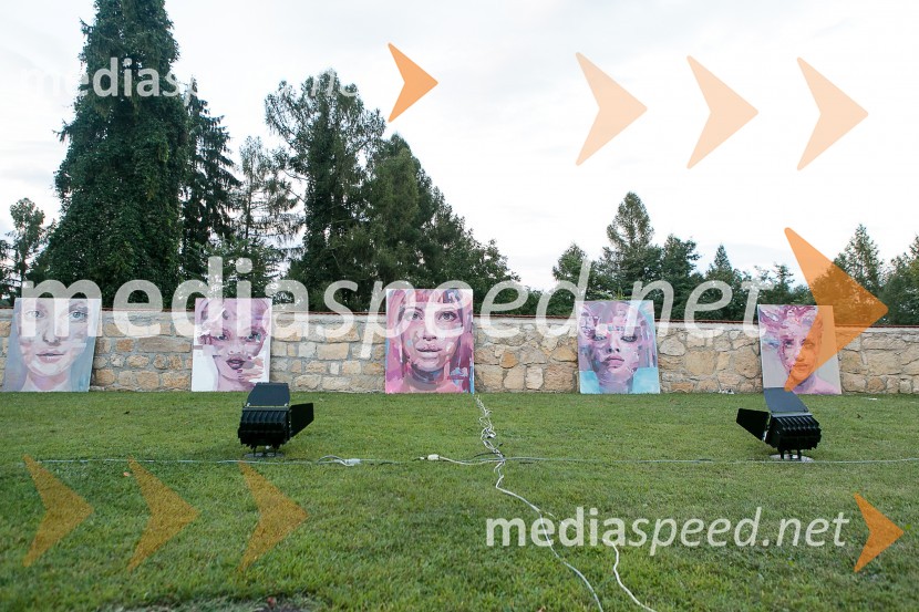 Razstava slik Tjaše ČušSalon Traminec 2015