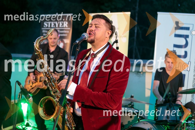  Gal Gjurin, glasbenikSalon Traminec 2015