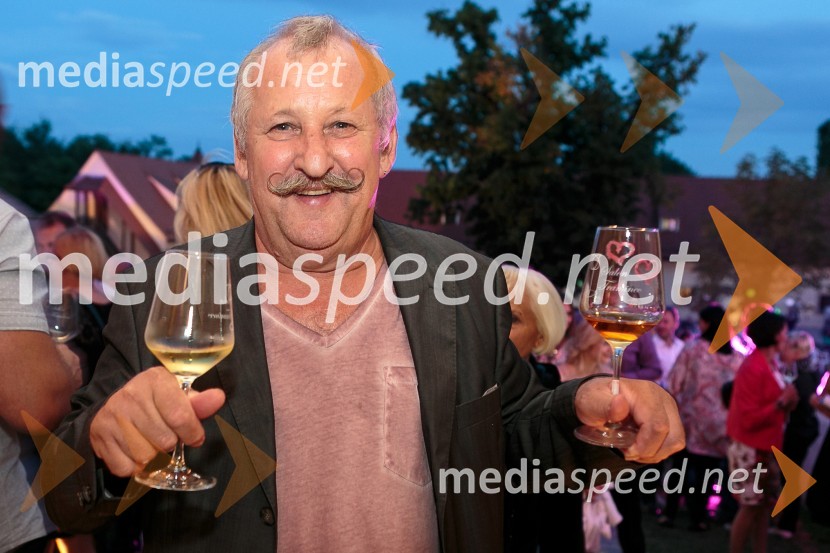  Franc  Kokalj, direktor NE-KO d.o.o.Salon Traminec 2015