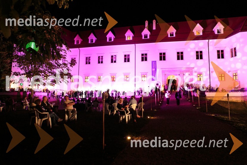 Salon Traminec 2015, Grad NegovaSalon Traminec 2015