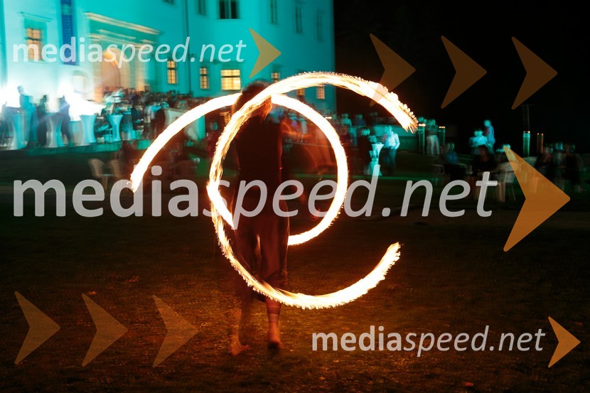  Polona  MoličnikSalon Traminec 2015