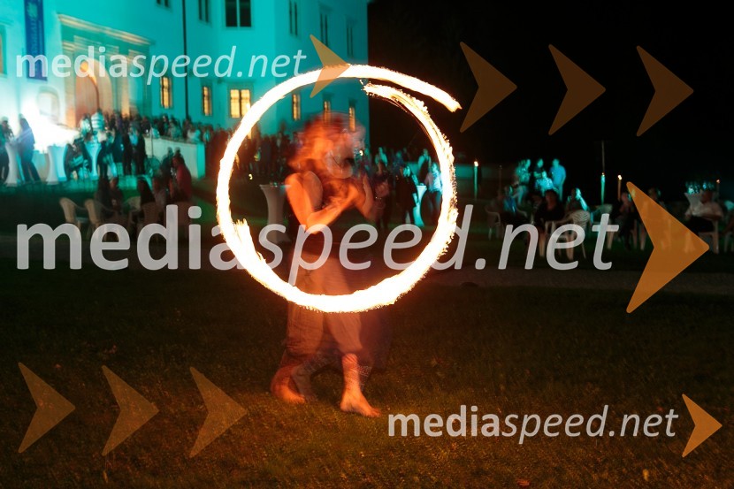  Polona  MoličnikSalon Traminec 2015