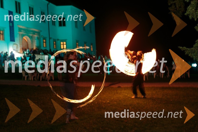  Polona  Moličnik;  Neža CiglerSalon Traminec 2015