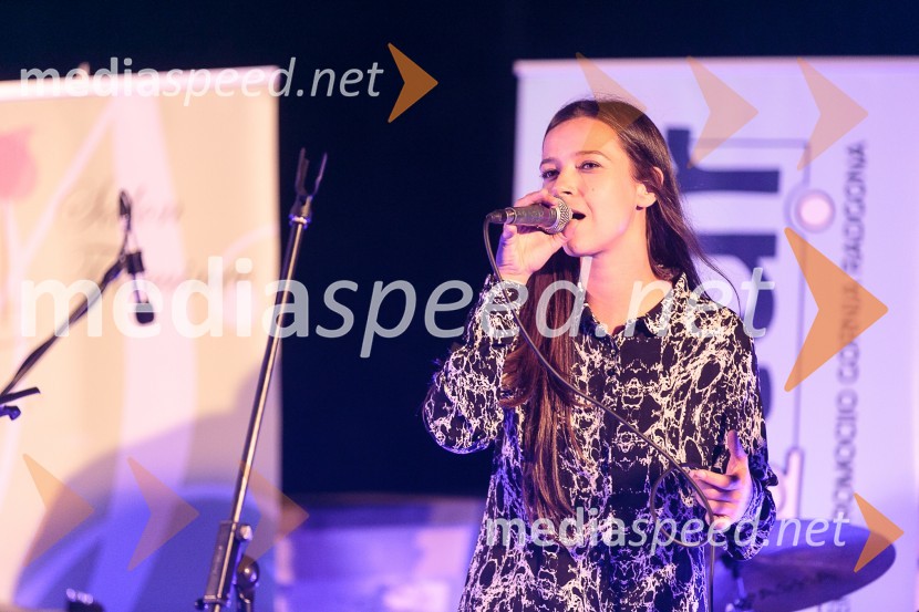  Severa Gjurin, glasbenicaSalon Traminec 2015