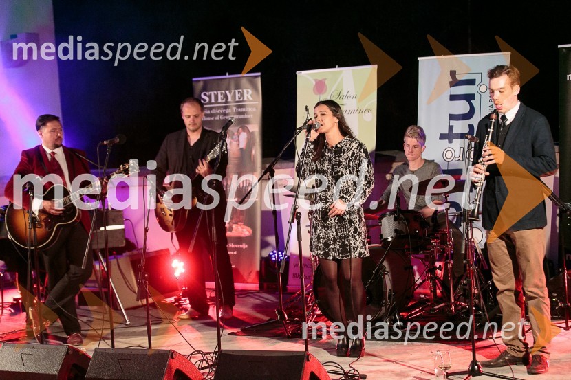  Gal Gjurin, glasbenik;  ... ;  Severa Gjurin, glasbenica;  ... ;  ... Salon Traminec 2015