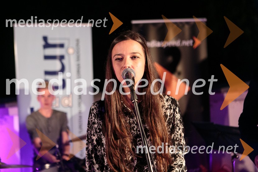  Severa Gjurin, glasbenicaSalon Traminec 2015