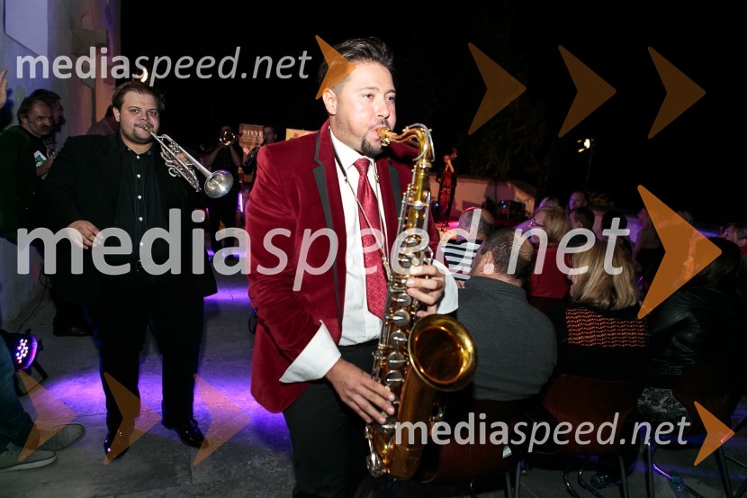  Gal Gjurin, glasbenikSalon Traminec 2015