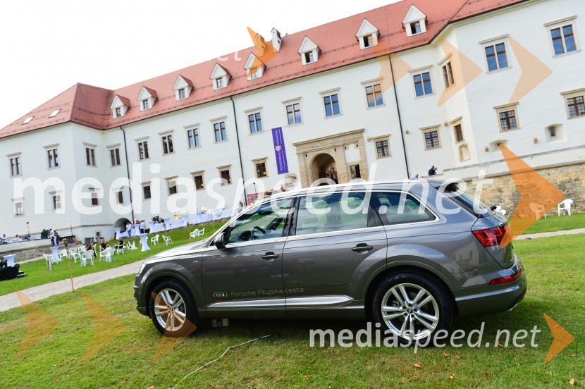 Salon Traminec 2015, Grad NegovaSalon Traminec 2015