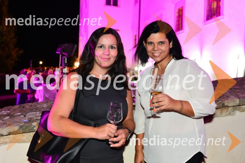  Barbara  Poljanec, vodja prodaje in trženja, Vizualne komunikacije comTEC d.o.o.;  ... Salon Traminec 2015