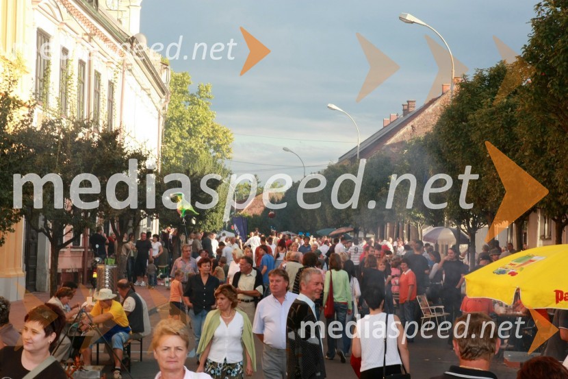 Bogračfest 2007Bogračfest 2007