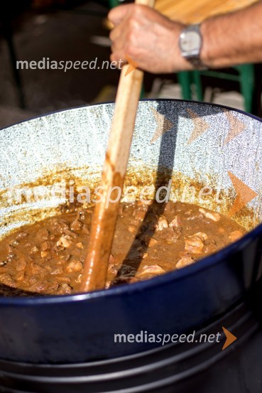 Bogračfest 2015Bogračfest 2015 postregel z rekordnim številom obiskovalcev in tekmovalnih ekip