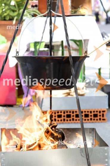 Bogračfest 2015Bogračfest 2015 postregel z rekordnim številom obiskovalcev in tekmovalnih ekip