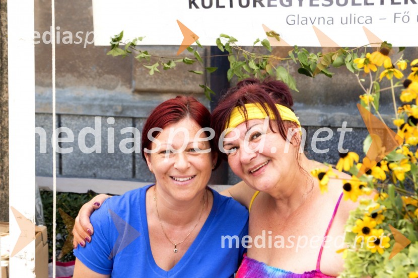 Bogračfest 2015Bogračfest 2015 postregel z rekordnim številom obiskovalcev in tekmovalnih ekip