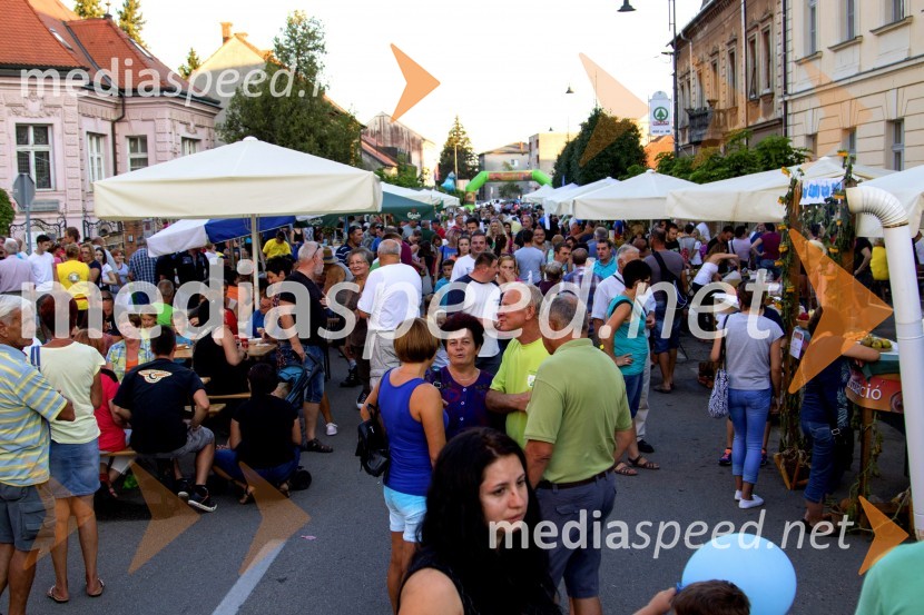 Bogračfest 2015, LendavaBogračfest 2015 postregel z rekordnim številom obiskovalcev in tekmovalnih ekip