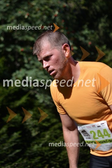 Trail maraton Pohorje