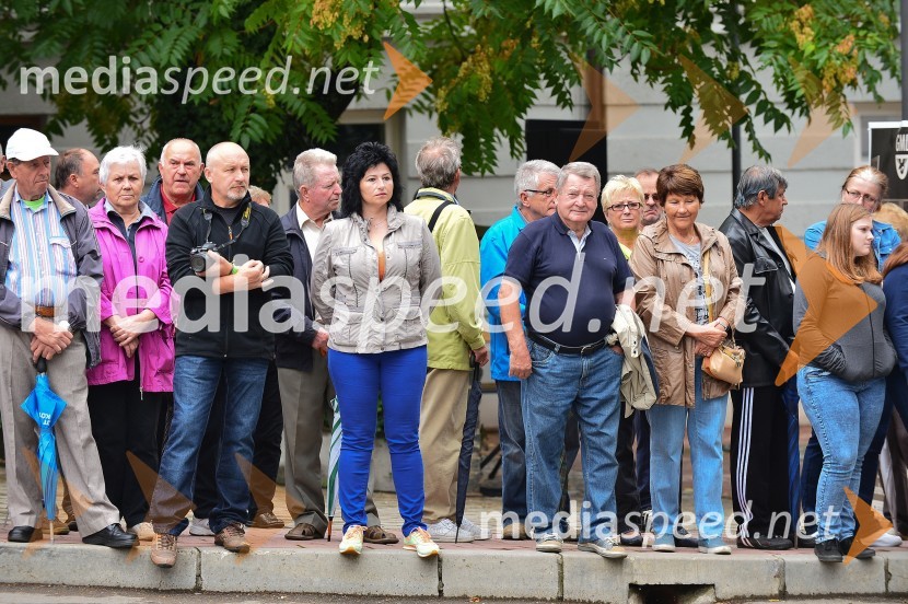 Lendavska trgatev 2015