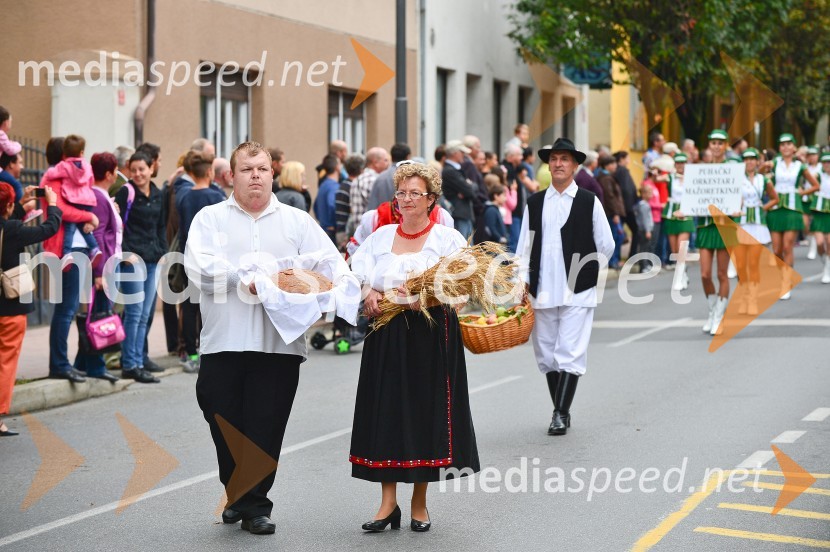 Lendavska trgatev 2015