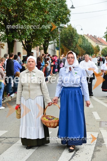 Lendavska trgatev 2015
