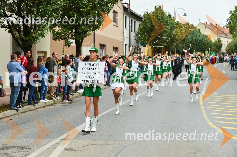 Lendavska trgatev 2015