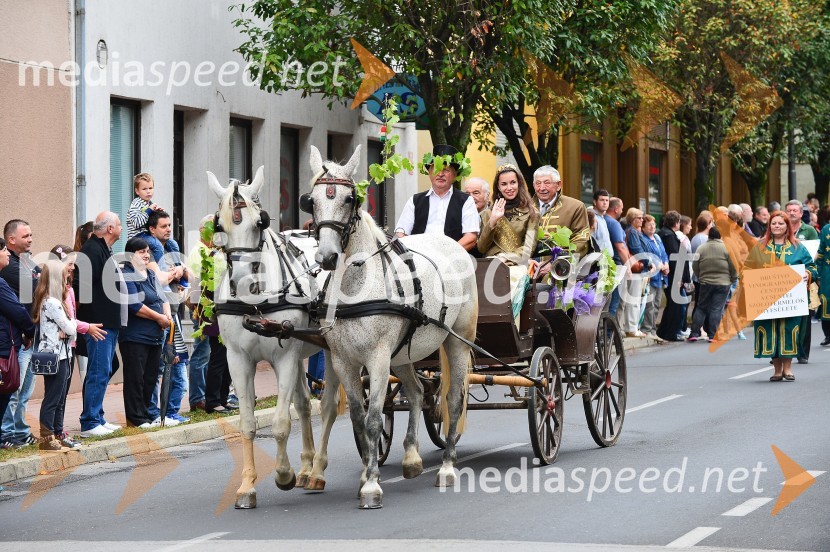 Lendavska trgatev 2015