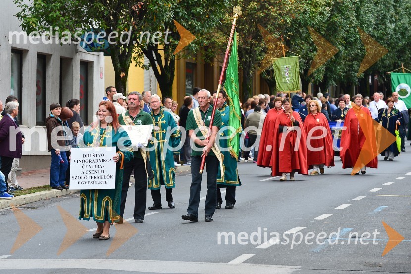 Lendavska trgatev 2015