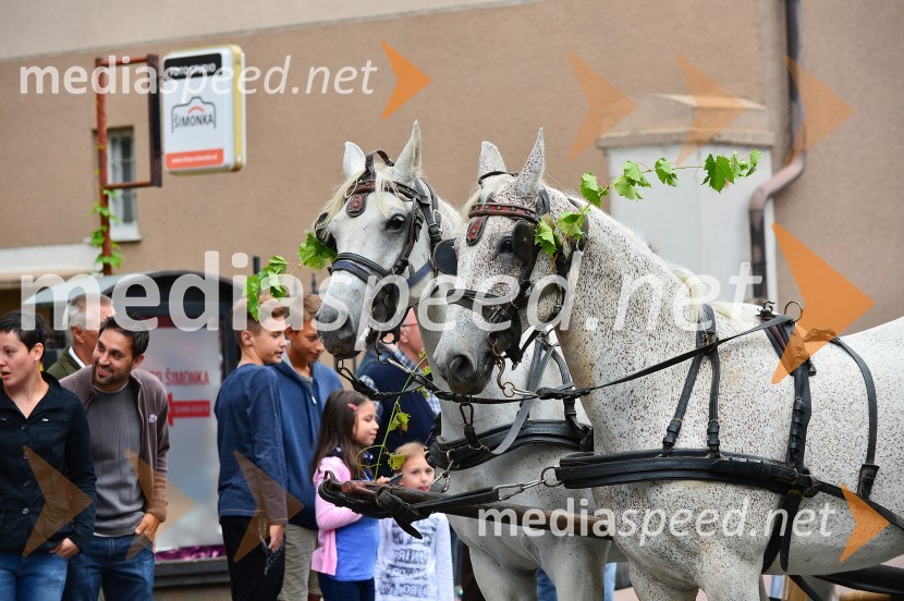 Lendavska trgatev 2015