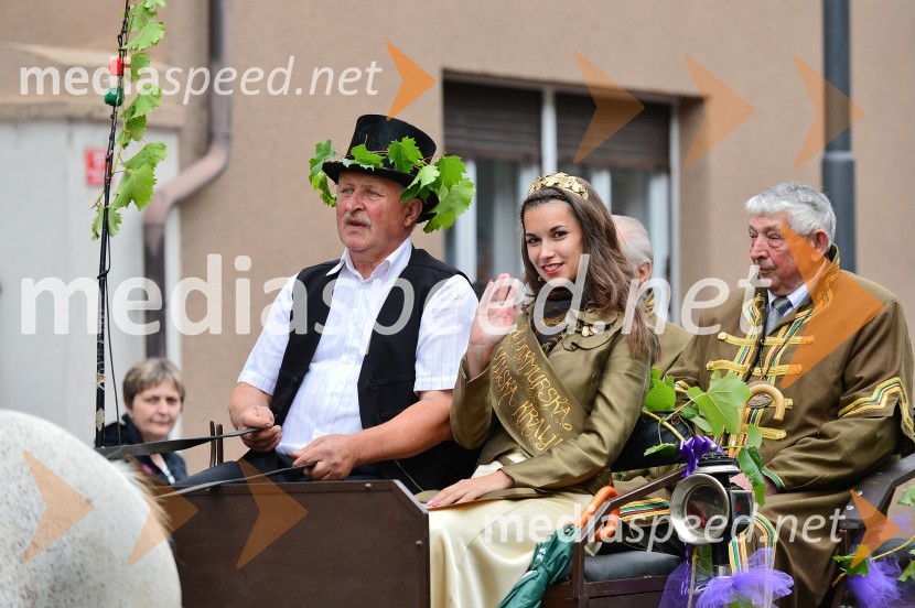 Lendavska trgatev 2015