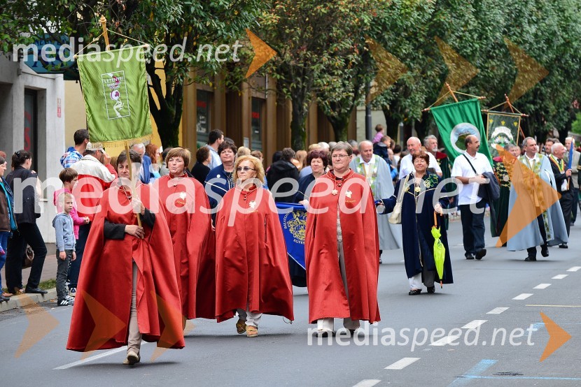 Lendavska trgatev 2015