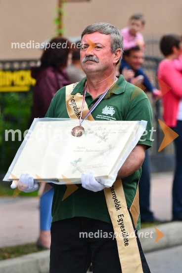 Lendavska trgatev 2015