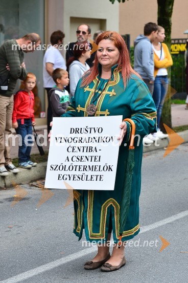 Lendavska trgatev 2015