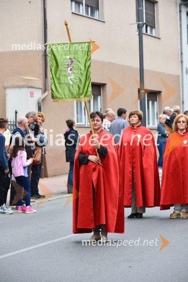 Lendavska trgatev 2015