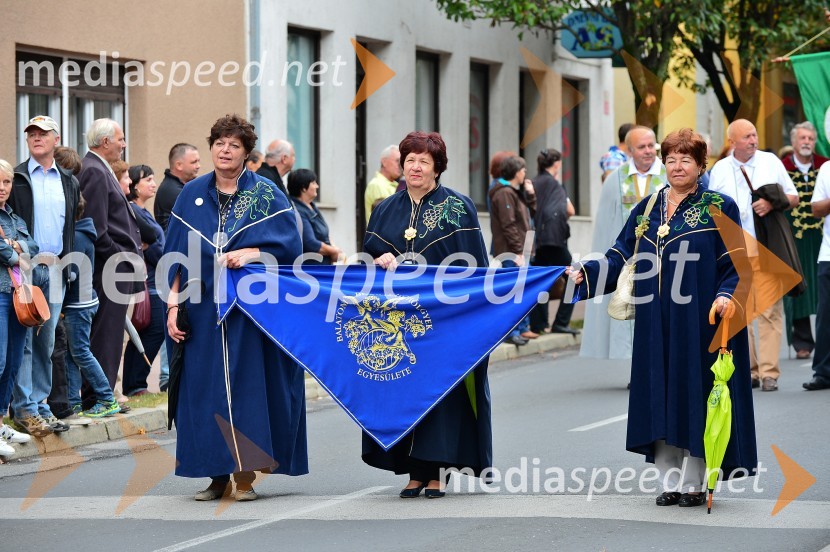 Lendavska trgatev 2015