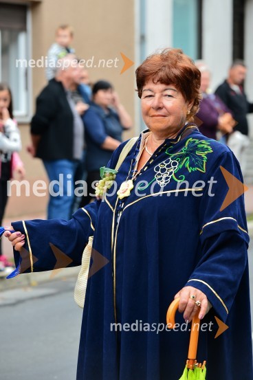 Lendavska trgatev 2015