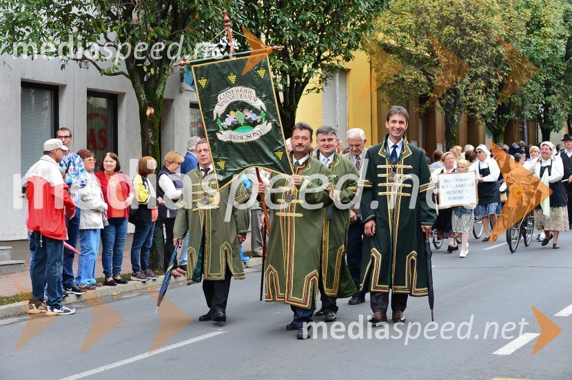 Lendavska trgatev 2015