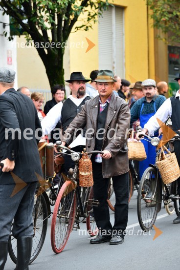 Lendavska trgatev 2015