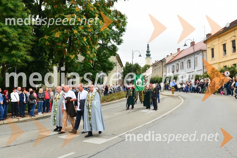 Lendavska trgatev 2015