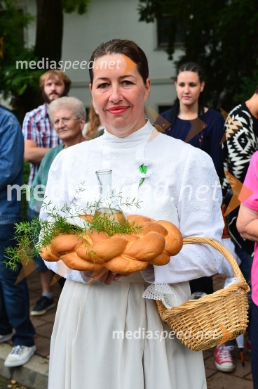 Lendavska trgatev 2015