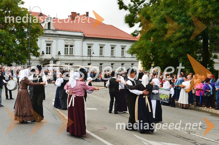 Lendavska trgatev 2015